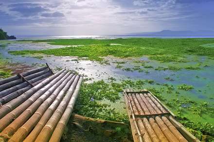 چشم انداز زیبا