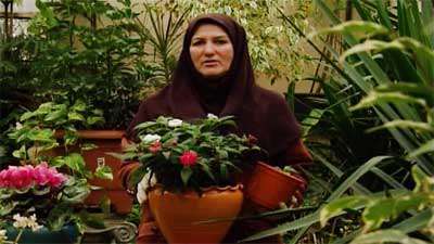 طرز نگهداری گیاه امپیشن (حنا)