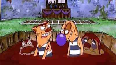 بزارید مسابقه شروع بشه(گربه سگ)