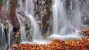 آبشار غیر متمرکز پاییزی