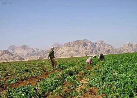 مزارع دایره ای در مغرب