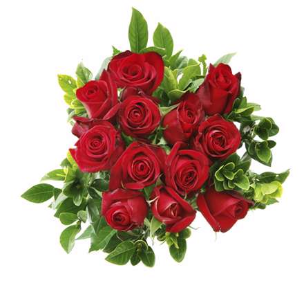 گل رزهای قرمز