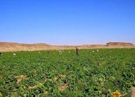 مزارع دایره ای در مغرب