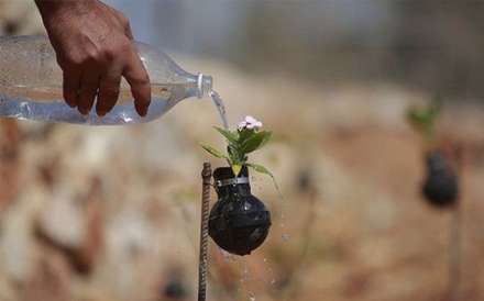 گل های درون نارنجک