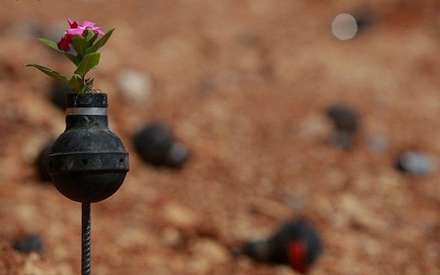 گل های درون نارنجک