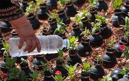 گل های درون نارنجک