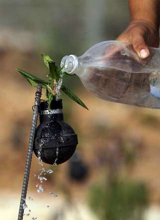 گل های درون نارنجک