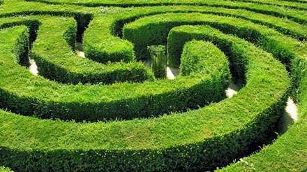 پر پیچ و خم ترین مارپیچ جهان