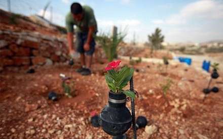 گل های درون نارنجک