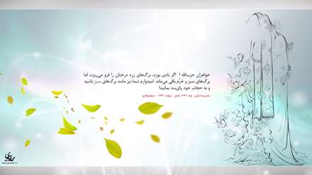 برگ سبز حجاب