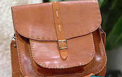 کیف چند جیب (1) ـ خانم خوش صحبت