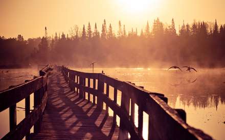 پل چوبی قدیمی