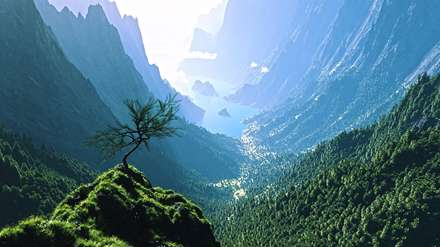 رودی میان کوهستان سبز