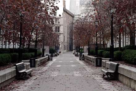 پاییز زیبا