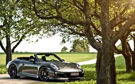 ماشینی کنار درختان