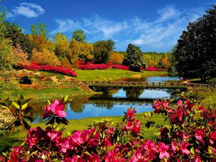 باغی پر از گل و درخت