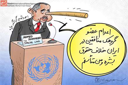 پینوکیو در سازمان ملل
