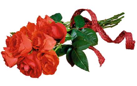 دسته گل رز