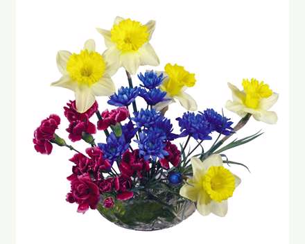 گل هایی درون کاسه