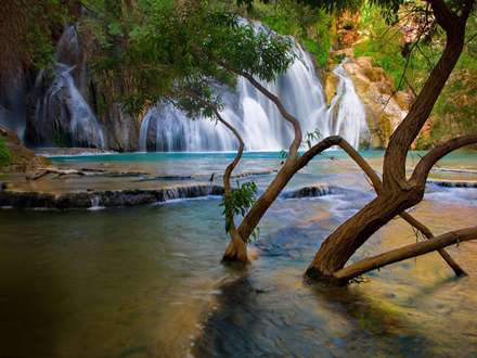 طبیعت بکر
