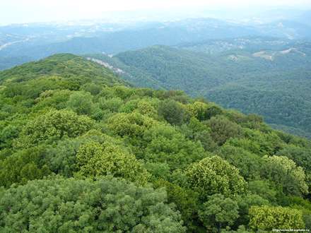 کوهستان سبز