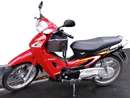 موتورسیکلت هوندا قرمز و مشکی