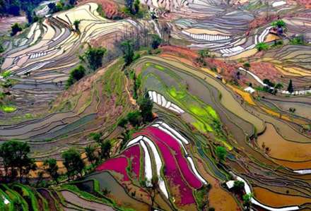 تصاویر بدون فوتوشاپ