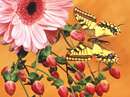 نقاشی زیبا از پروانه و گل
