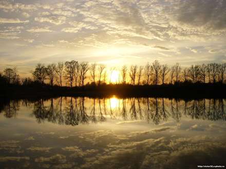 طبیعت قرینه