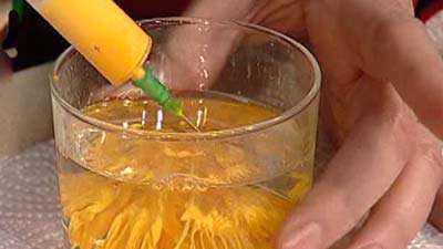 گل ژربرا ـ خانم امیریان