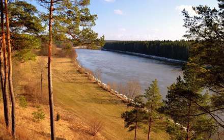 رودی میان درختان