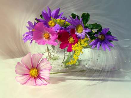 گلهای رنگارنگ