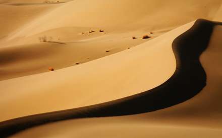صحرای شنی