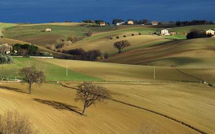زمین های کشاورزی