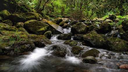 رودی درحال گذر ازروی سنگها