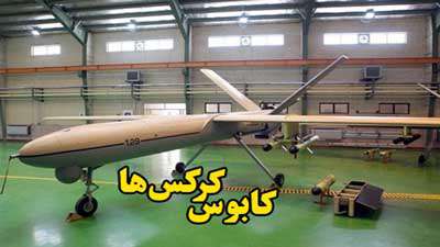 کابوس کرکس ها