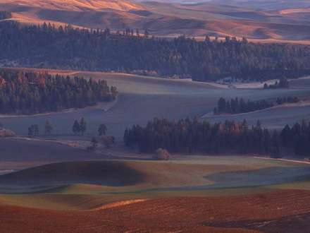 چشم انداز بکر