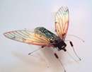 حشرات زیبای الکترونیکی