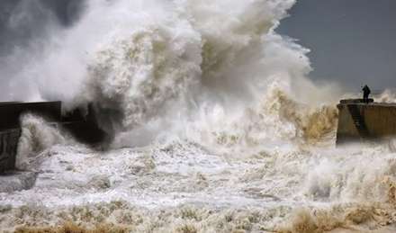 تلاش برای بهترین عکس