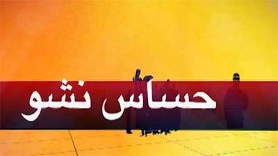 حساس نشو (74)