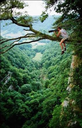 تلاش برای بهترین عکس