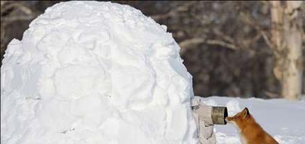 تلاش برای بهترین عکس