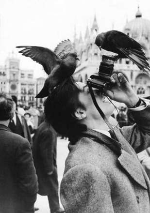 تلاش برای بهترین عکس