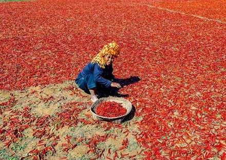 میانمار از نمایی دیگر