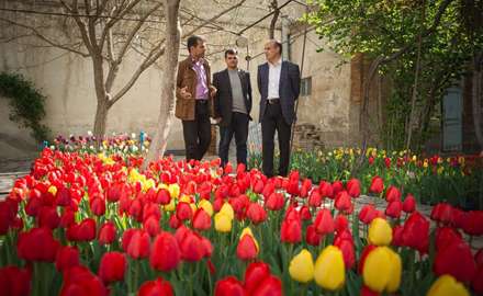 خانه ای به رنگ لاله ها