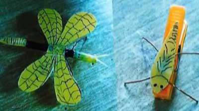 سنجاقک پرنده 