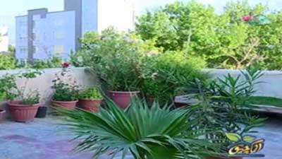 ایجاد فضای سبز