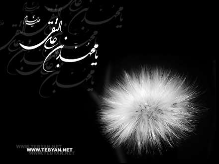 مسموم شد ز زهر جگر سوز اُمّ فضل/از روي شوق در ره جانانه جان سپرد
