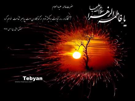 يا علي قبر پرستويت کجاست؟/آن گل صد برگ خوش بويت کجاست؟