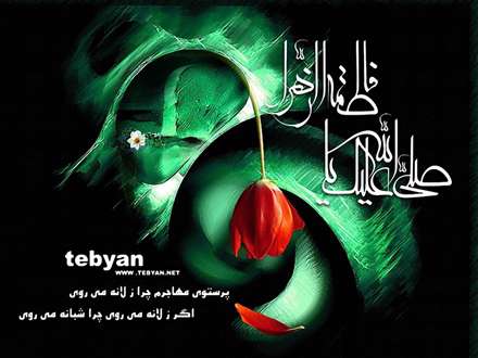 پرستوی مهاجرم چرا زلانه میروی